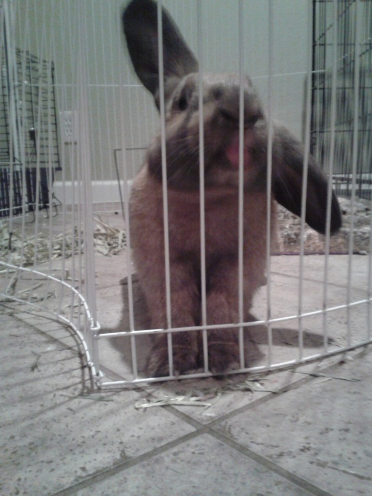 kiss me